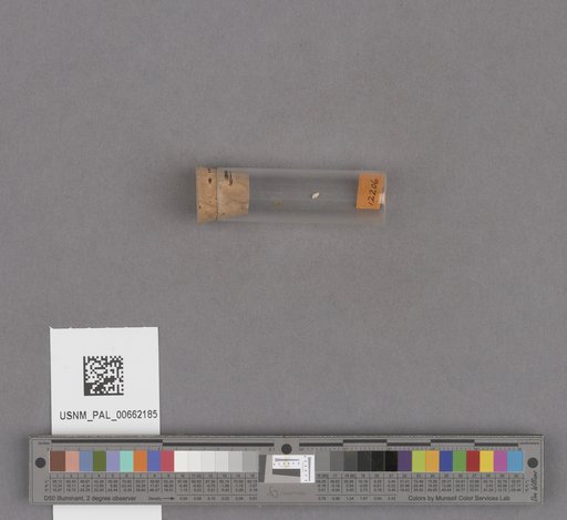 NSF ADBC EPICC TCN