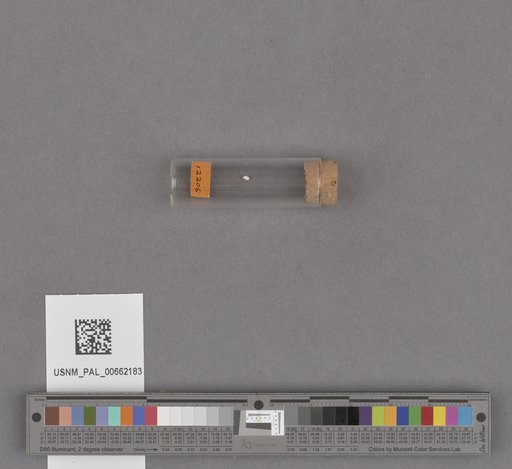 NSF ADBC EPICC TCN