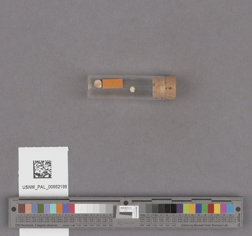 NSF ADBC EPICC TCN