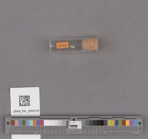 NSF ADBC EPICC TCN