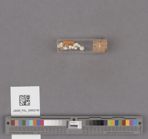 NSF ADBC EPICC TCN