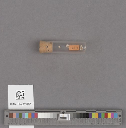 NSF ADBC EPICC TCN