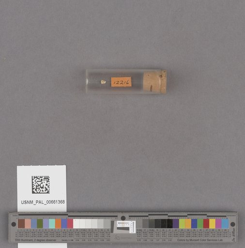 NSF ADBC EPICC TCN