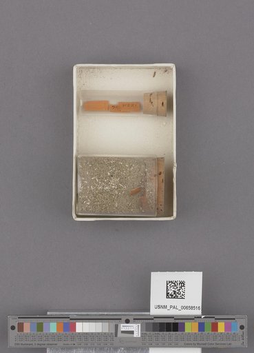 NSF ADBC EPICC TCN