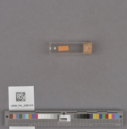 NSF ADBC EPICC TCN