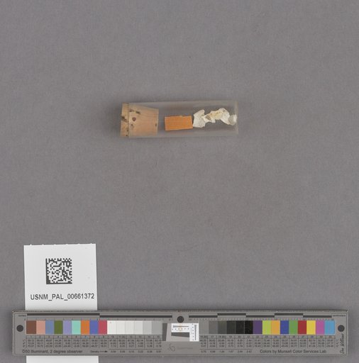 NSF ADBC EPICC TCN