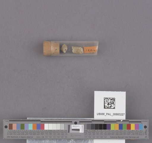 NSF ADBC EPICC TCN