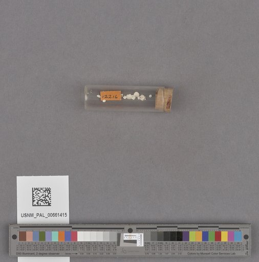 NSF ADBC EPICC TCN