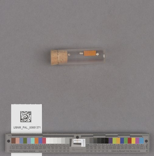 NSF ADBC EPICC TCN