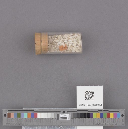 NSF ADBC EPICC TCN