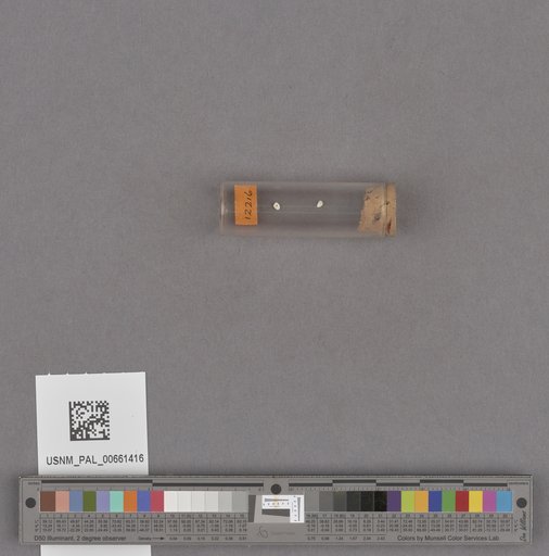 NSF ADBC EPICC TCN