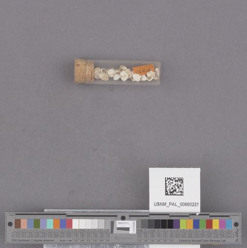 NSF ADBC EPICC TCN