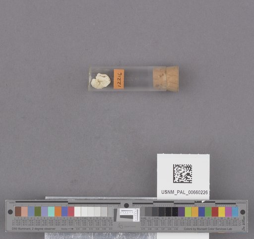 NSF ADBC EPICC TCN