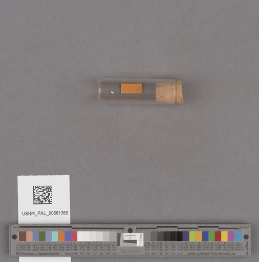 NSF ADBC EPICC TCN