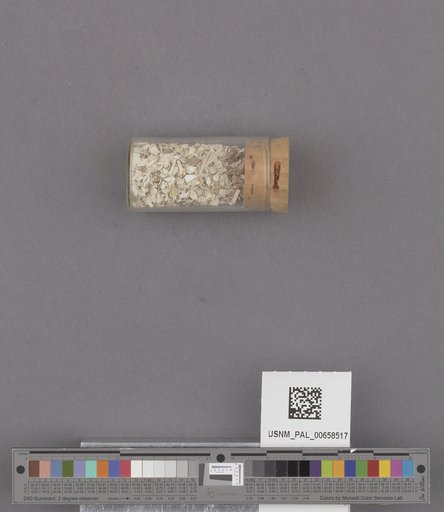 NSF ADBC EPICC TCN