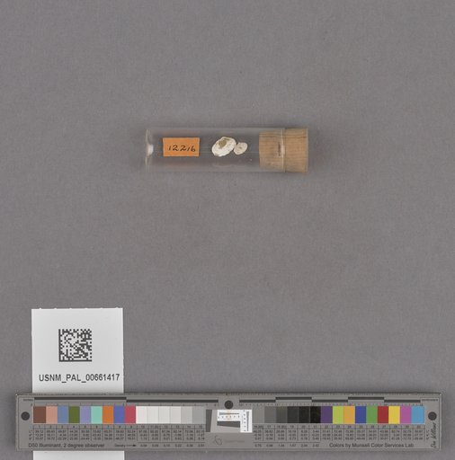 NSF ADBC EPICC TCN