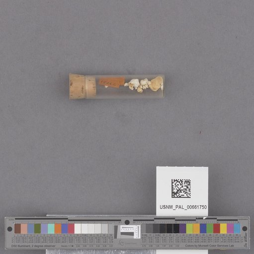 NSF ADBC EPICC TCN