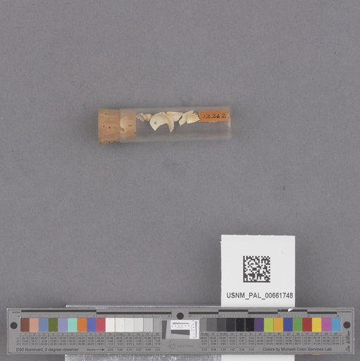 NSF ADBC EPICC TCN