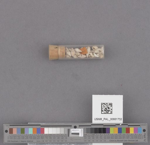 NSF ADBC EPICC TCN