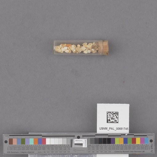 NSF ADBC EPICC TCN