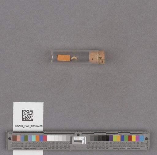 NSF ADBC EPICC TCN
