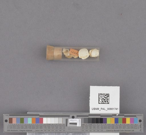 NSF ADBC EPICC TCN