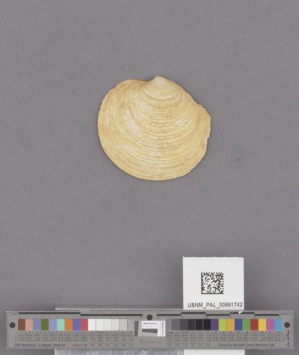 NSF ADBC EPICC TCN