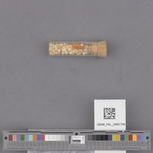 NSF ADBC EPICC TCN