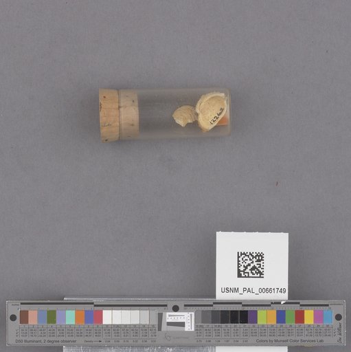 NSF ADBC EPICC TCN