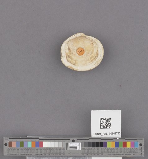 NSF ADBC EPICC TCN