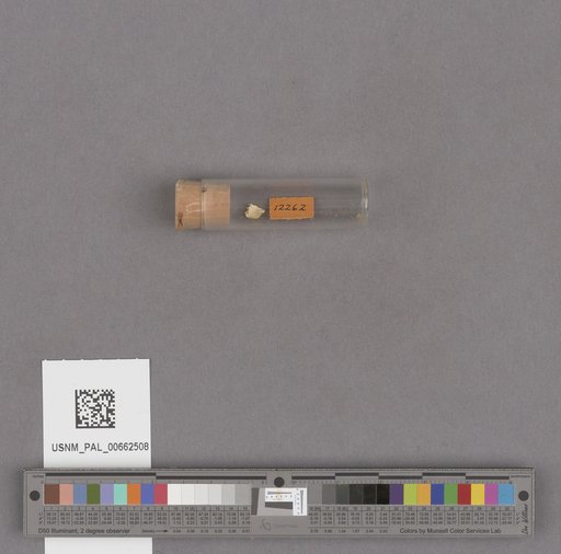 NSF ADBC EPICC TCN