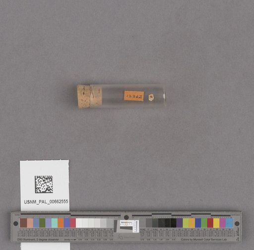 NSF ADBC EPICC TCN