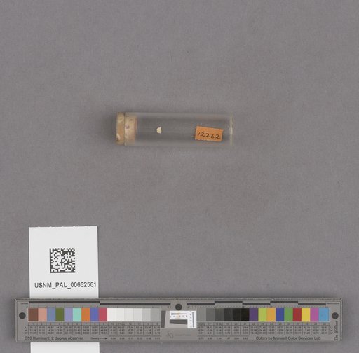 NSF ADBC EPICC TCN