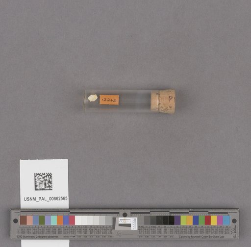 NSF ADBC EPICC TCN