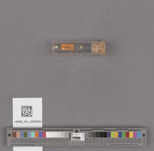 NSF ADBC EPICC TCN