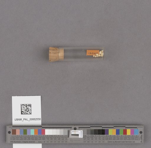 NSF ADBC EPICC TCN