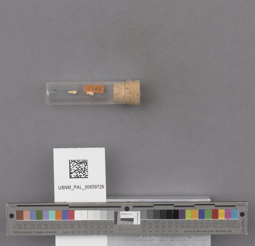 NSF ADBC EPICC TCN