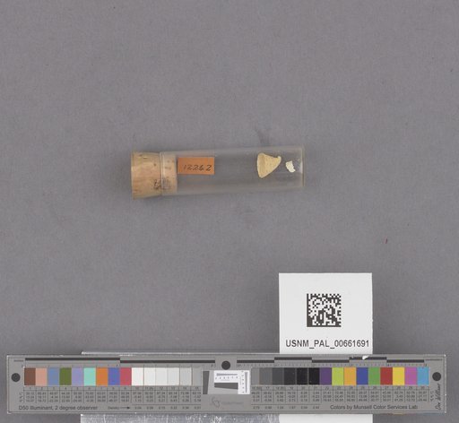 NSF ADBC EPICC TCN