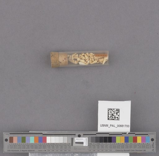 NSF ADBC EPICC TCN