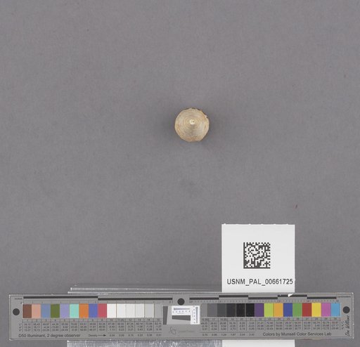 NSF ADBC EPICC TCN