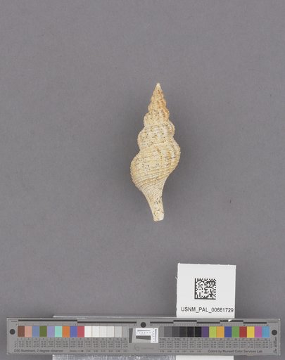 NSF ADBC EPICC TCN