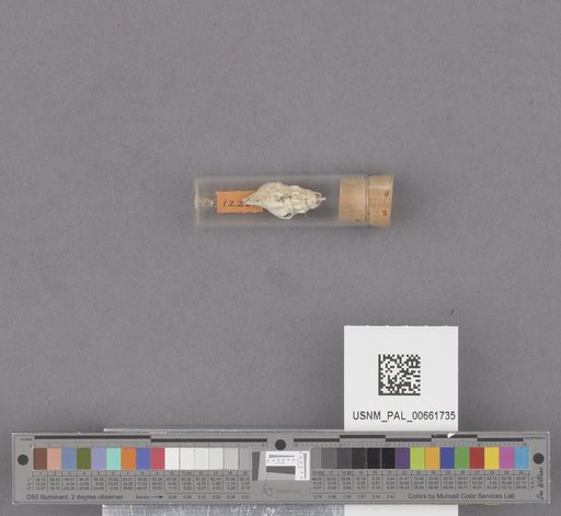 NSF ADBC EPICC TCN