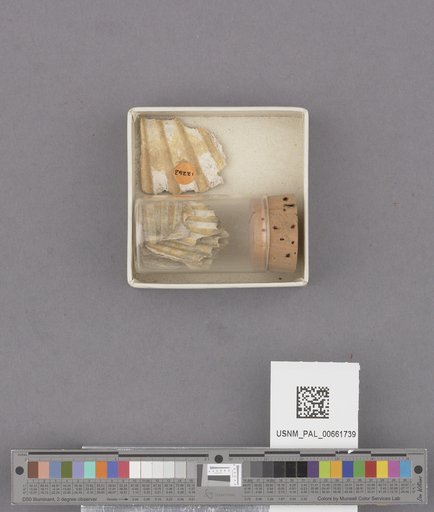 NSF ADBC EPICC TCN