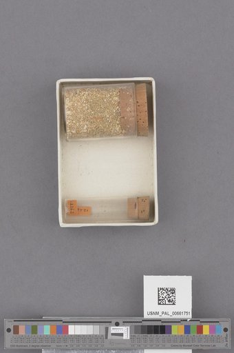 NSF ADBC EPICC TCN