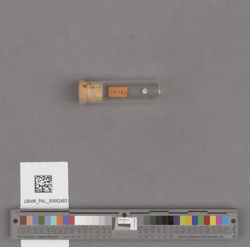 NSF ADBC EPICC TCN