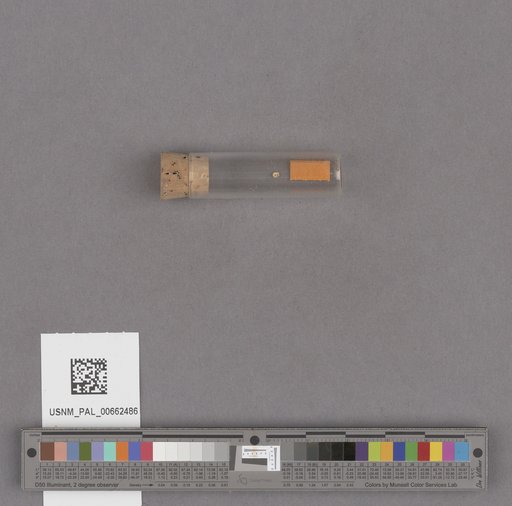 NSF ADBC EPICC TCN