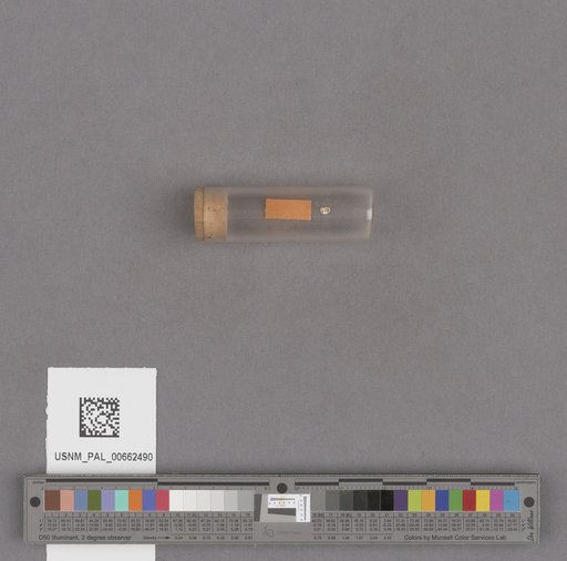 NSF ADBC EPICC TCN