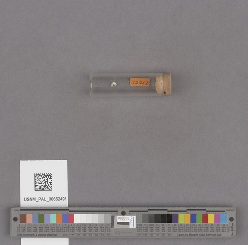 NSF ADBC EPICC TCN