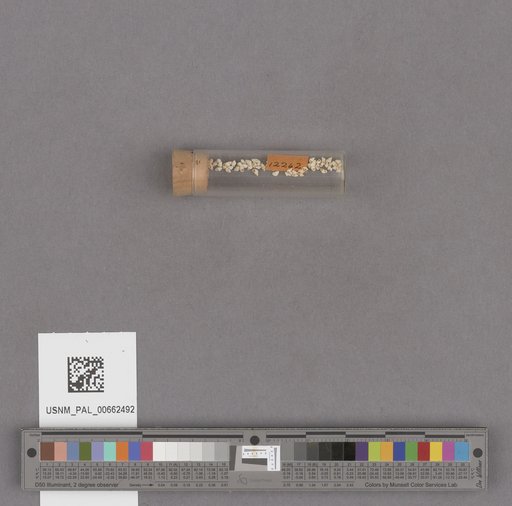 NSF ADBC EPICC TCN