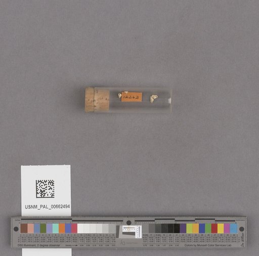 NSF ADBC EPICC TCN